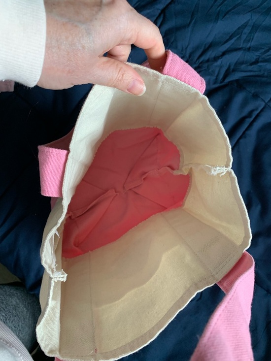 Trader Joe's Pink and Cream Canvas Mini Tote - Picture 2 of 4